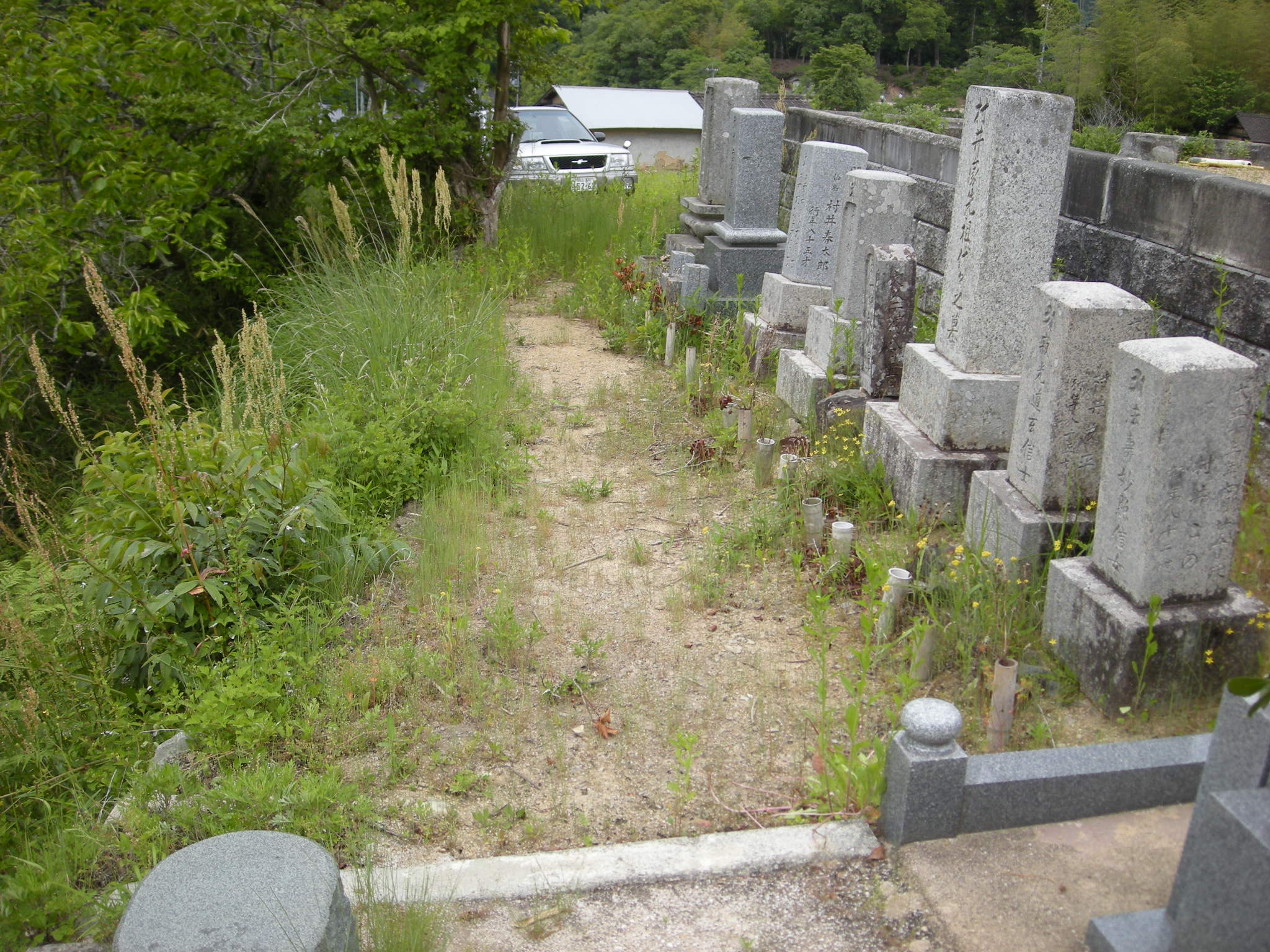 1 墓地造成施工前
